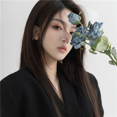 弗莱蒙与希特伦海报