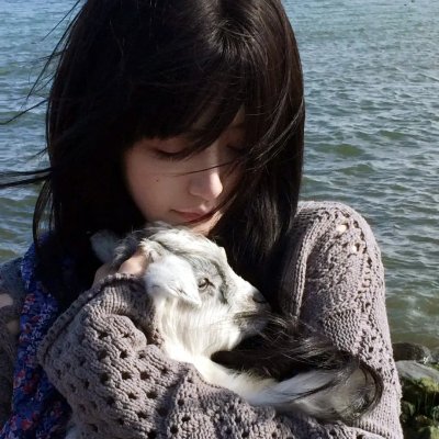 燃烧吧！篮朋友海报