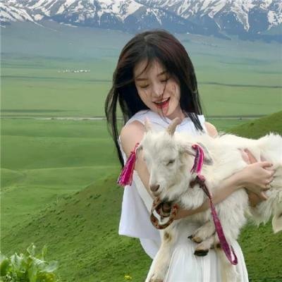 死后余生海报